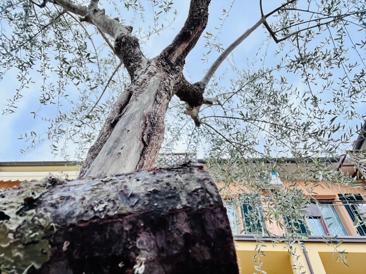 Hotel Locazione Turistica Casa Lalli Pieve a Maiano Exterior foto